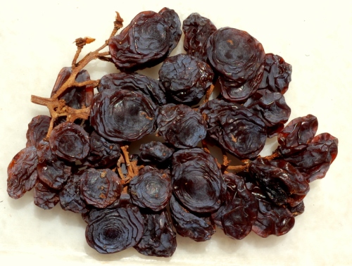 raisins on the vine